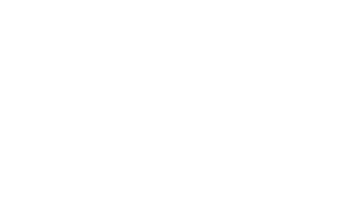 Springs Capital